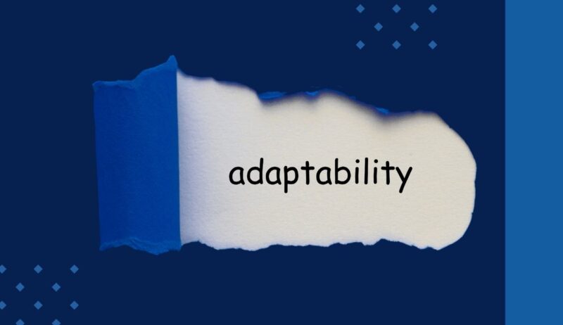 Adaptability